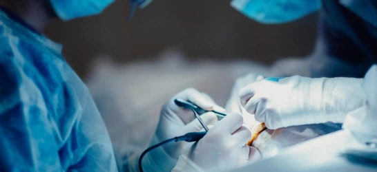Endoscopy Services